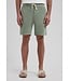 Dstrezzed beach short logan d. groen 515558-ss26