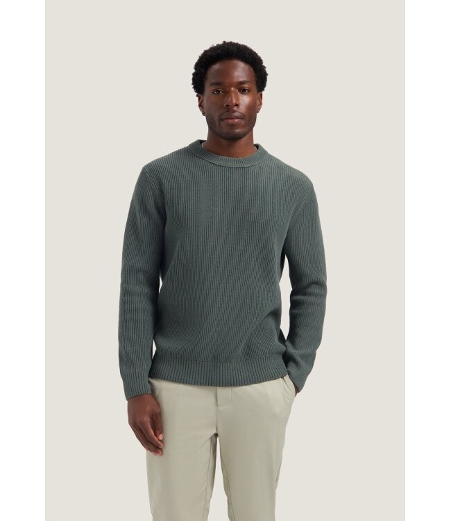 Dstrezzed trui rond levi grijs green 406050