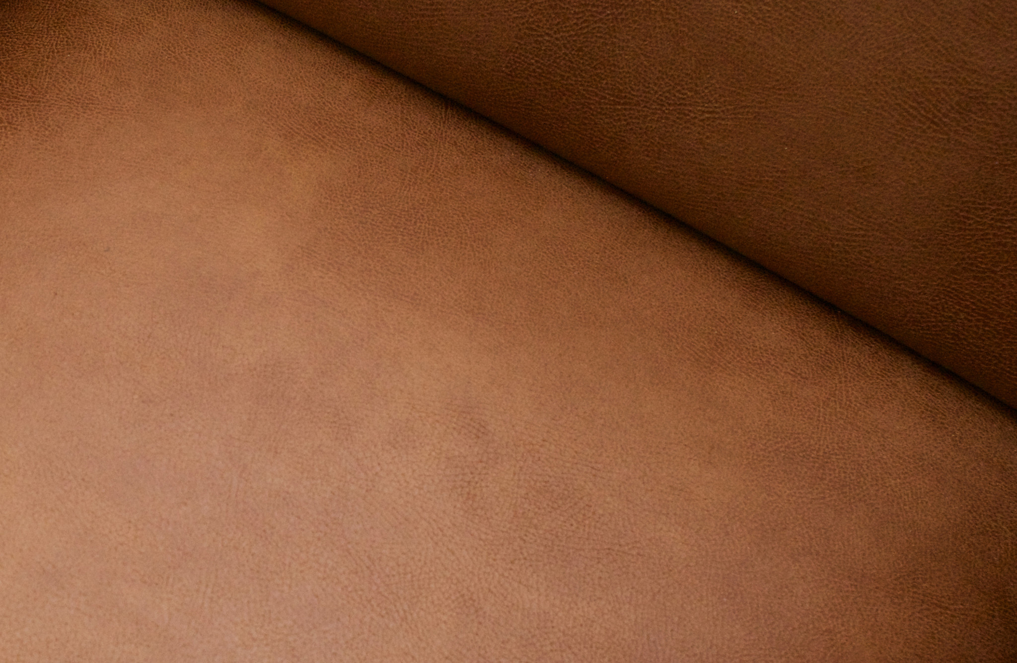 Statement 1-zits Element Eco Leer Cognac