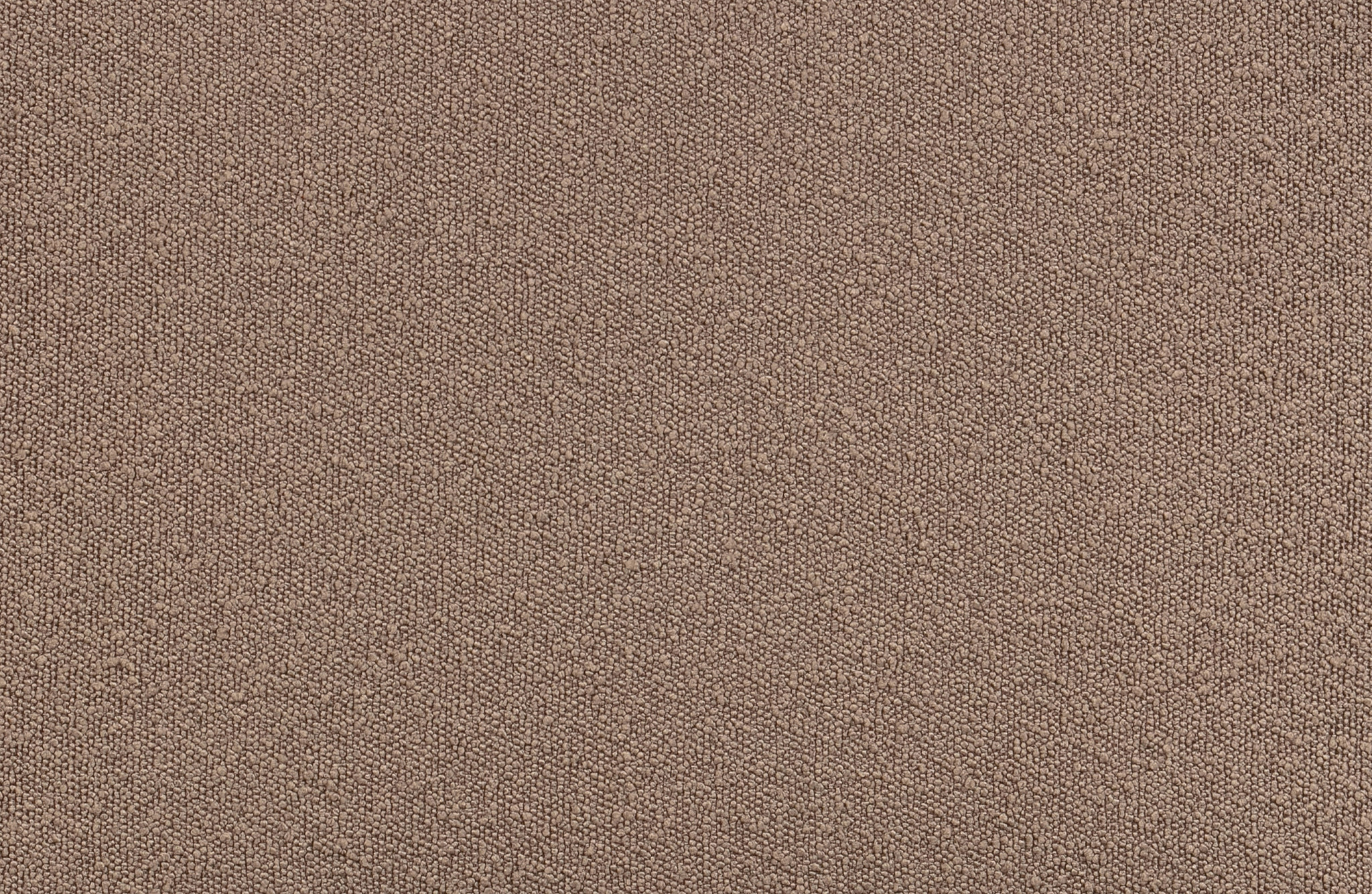 Statement 1-zits Element BouclÉ Nougat