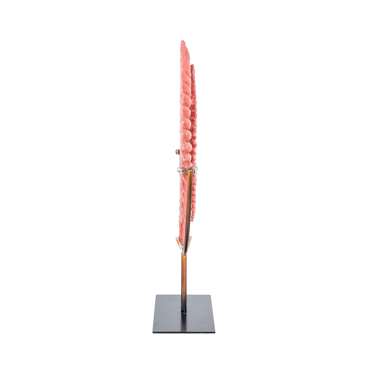 Decoratieve standaard Calypso (Pink)