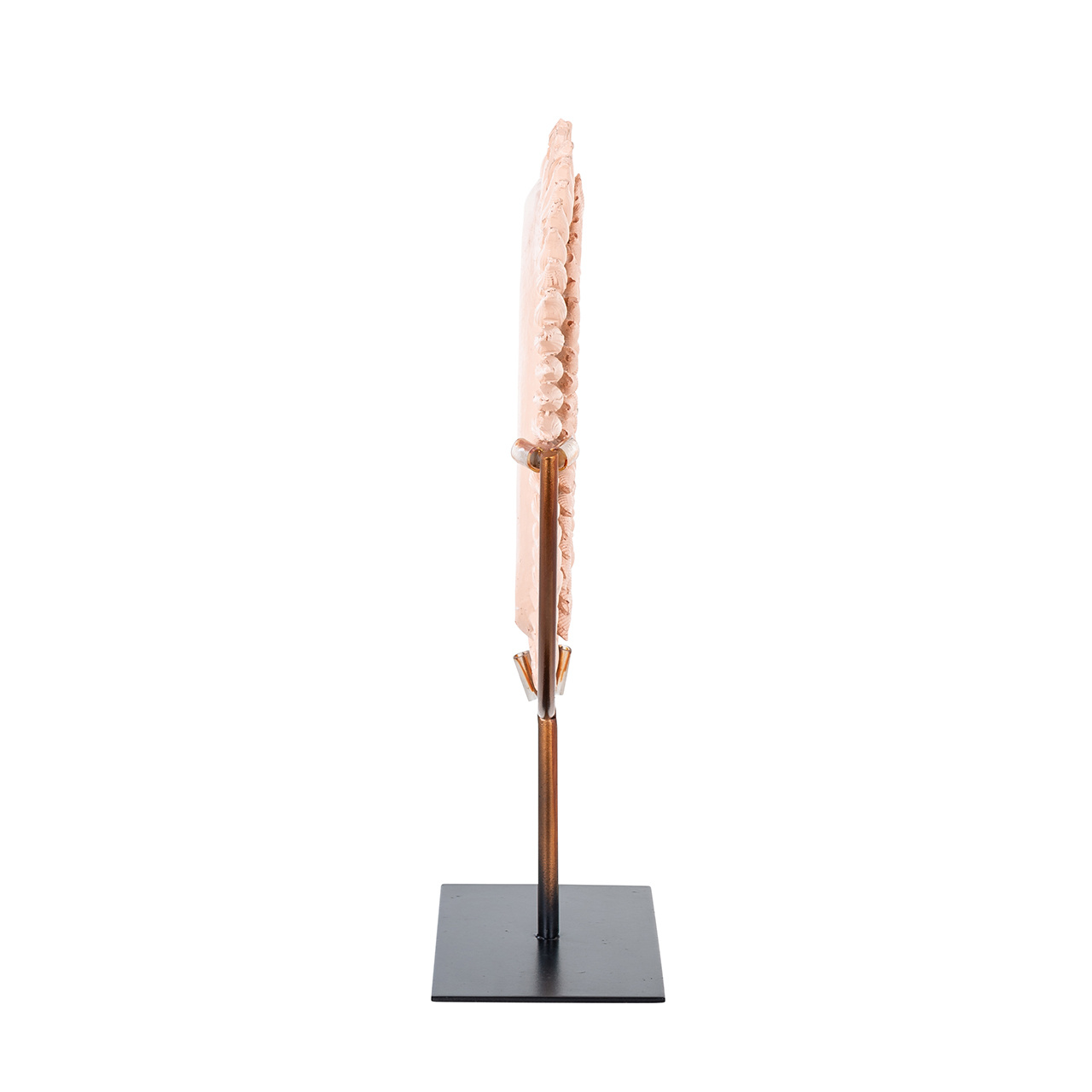 Decoratieve standaard Godiva