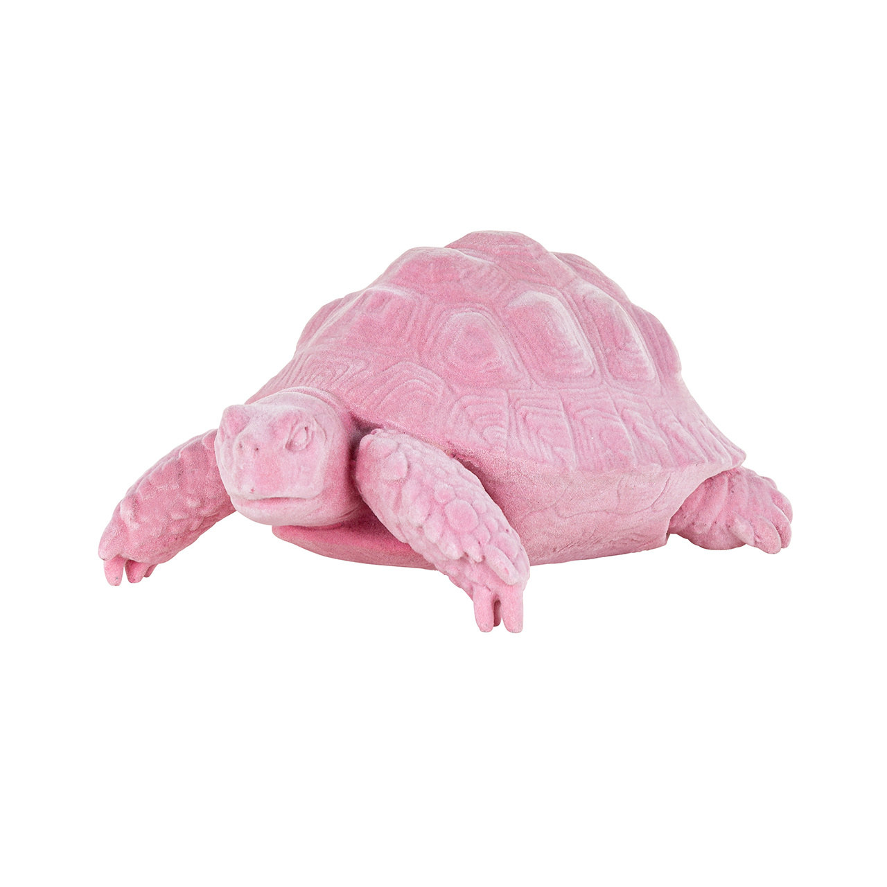 Turtle Pokey roze (Pink)