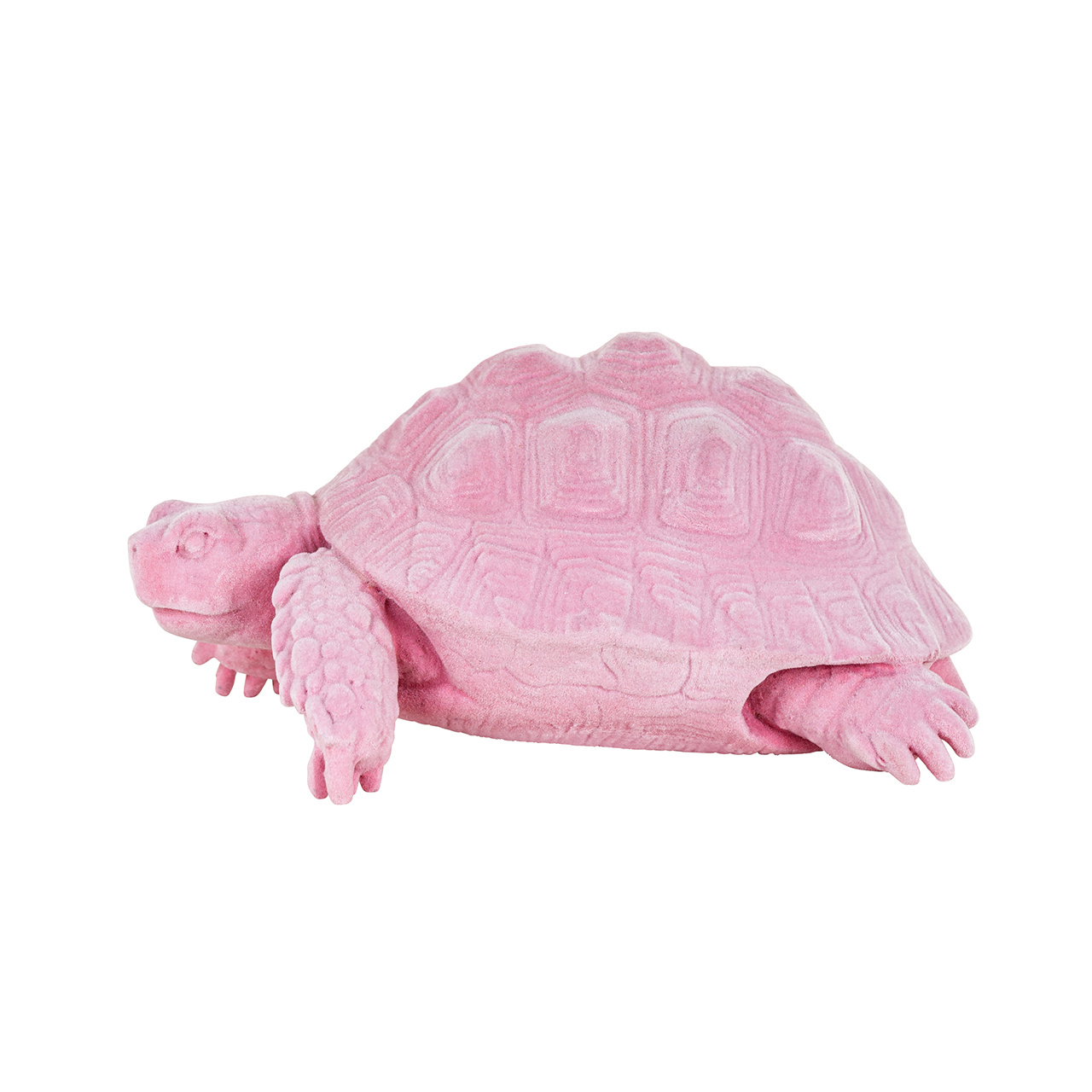 Turtle Pokey roze (Pink)