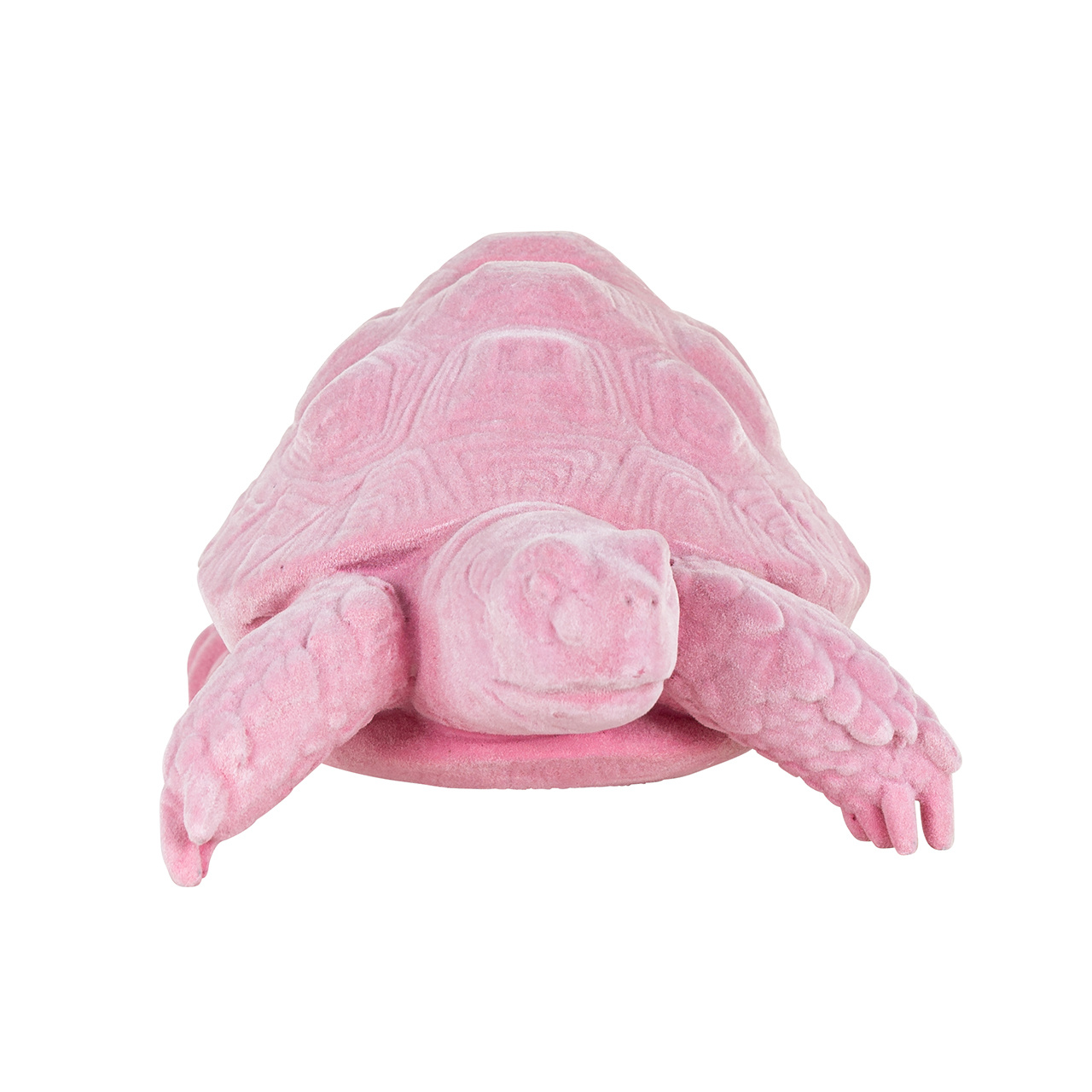 Turtle Pokey roze (Pink)