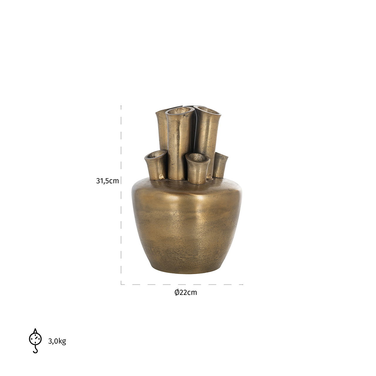 Vaas Roisee (Brushed Gold)
