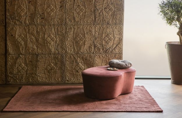 Trail Vloerkleed Chestnut 170x240cm
