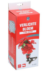 Beleuchtete Blume – rotes Licht – 12–32 V