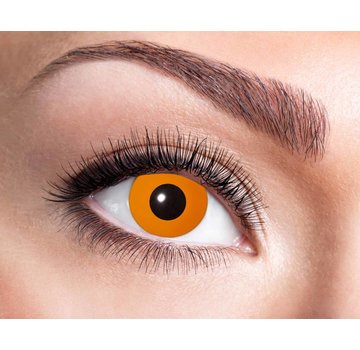 Eyecatcher Halloween Orange | Jaarlenzen