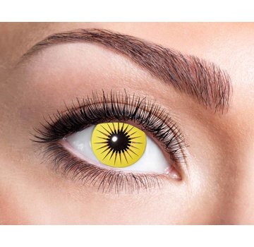 Eyecatcher Yellow Star | Jaarlenzen