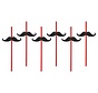 Party Straw  - Paille Moustache( 6 pieces )