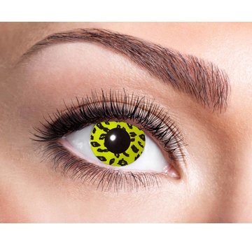 Eyecatcher Yellow Leopard | Jaarlenzen