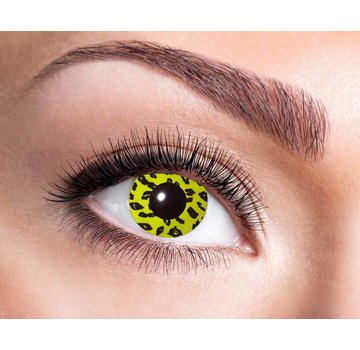 Eyecatcher Yellow Leopard