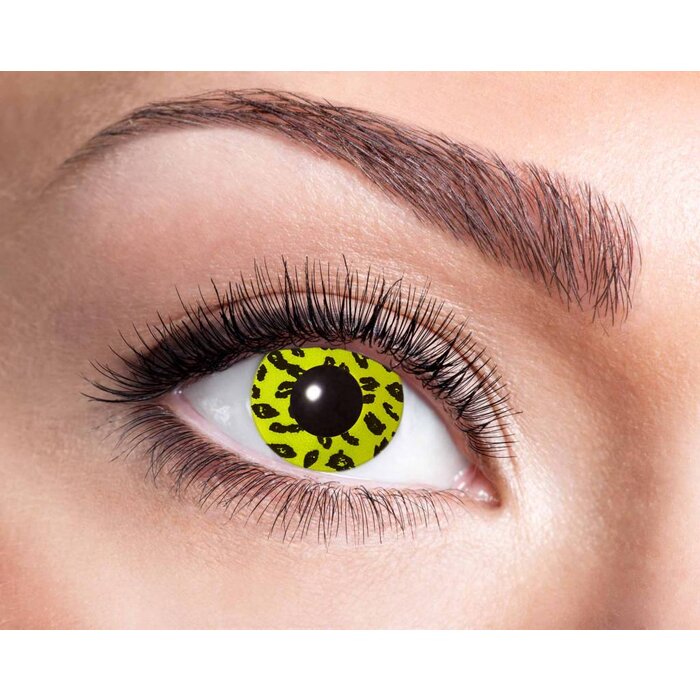 Zoelibat - Eyecatcher Yellow Leopard