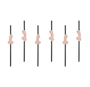 Party Deco Party Straw  - Paille Zizi ( 6 pieces )