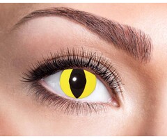 Zoelibat - Eyecatcher Yellow Cat | 3 month lenses