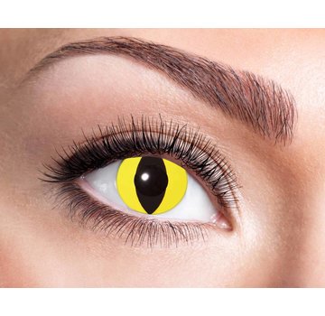 Eyecatcher Yellow Cat | lentilles de 3 mois