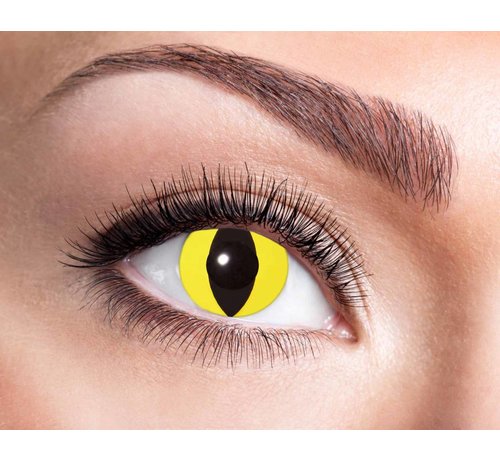 Eyecatcher Yellow Cat | 3 month lenses