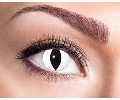 Eyecatcher Black Cat 3 mois lentilles