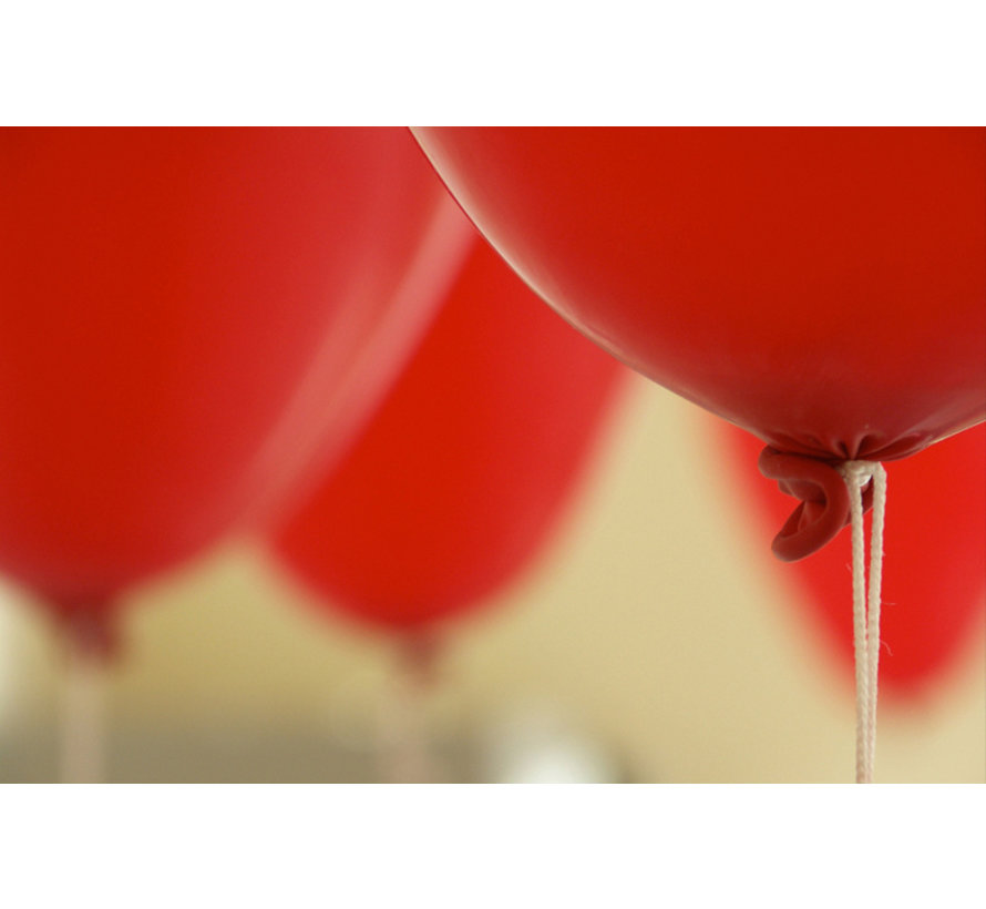 Rode Ballonnen - 12 stuks  (12 Inch)