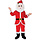 Santa Claus Mascot Costume
