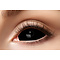 Lentilles Black Sclera 22 mm
