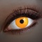 UV Orange  Colorlens | annual lenses