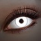 UV lentilles de couleur Blanc | lentilles annuelles