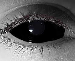 Breaklight.be Lentilles Sclera Noires Fashion Lentilles 22 mm