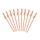 Straw Luxe Dick ( 10 pieces )  | Willy Straw