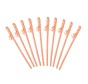 Straw Luxe Dick ( 10 pieces )  | Willy Straw