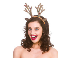 Wicked Costumes 6x Glitter Rendier Diadeem met belletjes