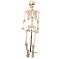 Squelette sur un stand | Décoration squelette 155cm | Décoration d'Halloween
