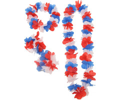 Partyline Hawaii Set Frankrijk - Set bevat 4 accessoires