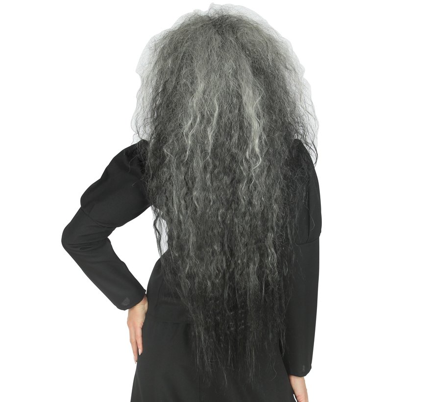 Perruque cheveux gris bouclés - Perruque grise à grand volume avec boucles.