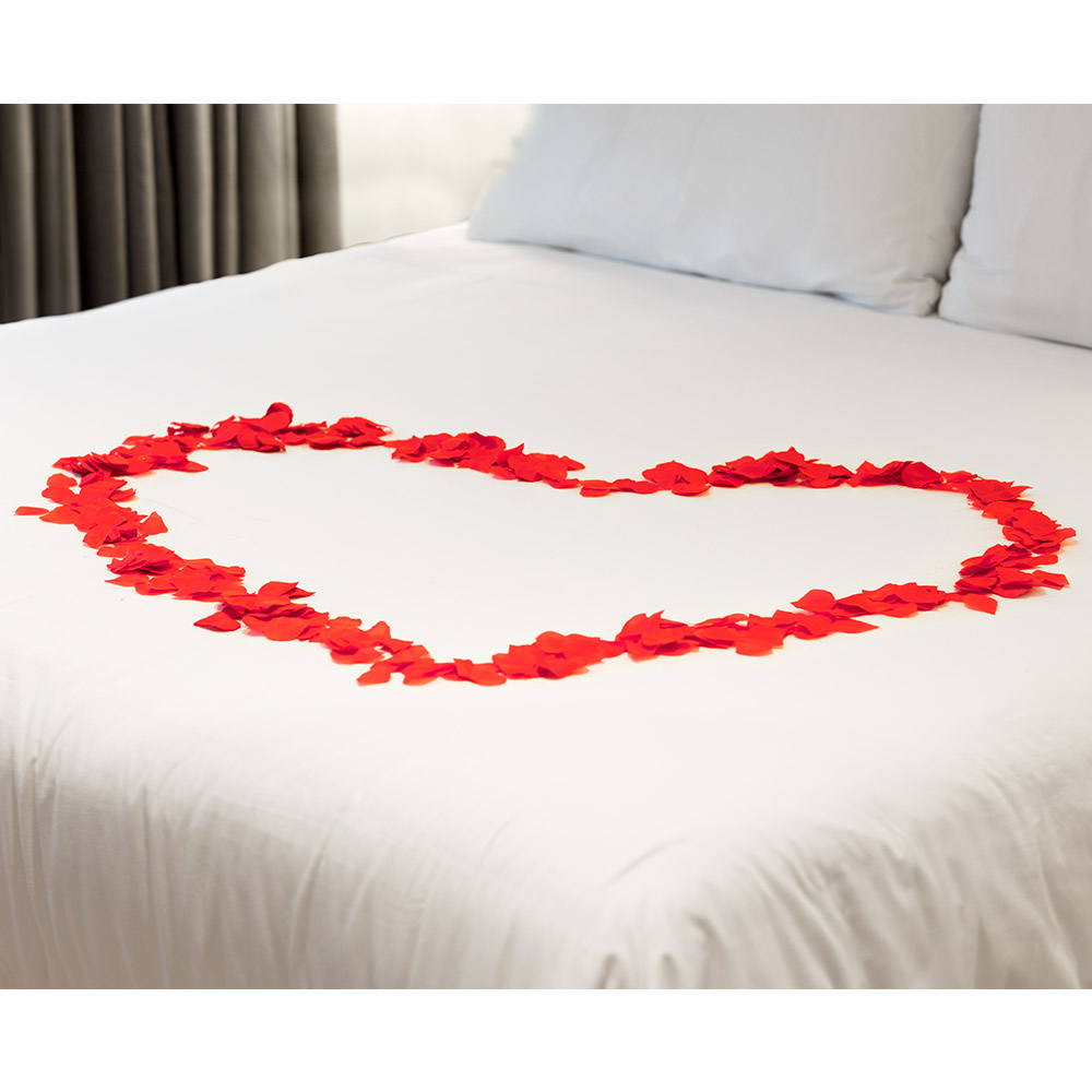 Boland Rozenblaadjes 288 stuks in tube- Rode rozenblaadjes - 100% polyester blaadjes