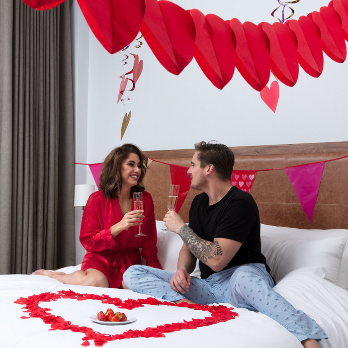 Boland Rozenblaadjes 288 stuks in tube- Rode rozenblaadjes - 100% polyester blaadjes