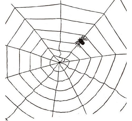 Partyline Toile d'araignée noire 1,5m | Déco Halloween