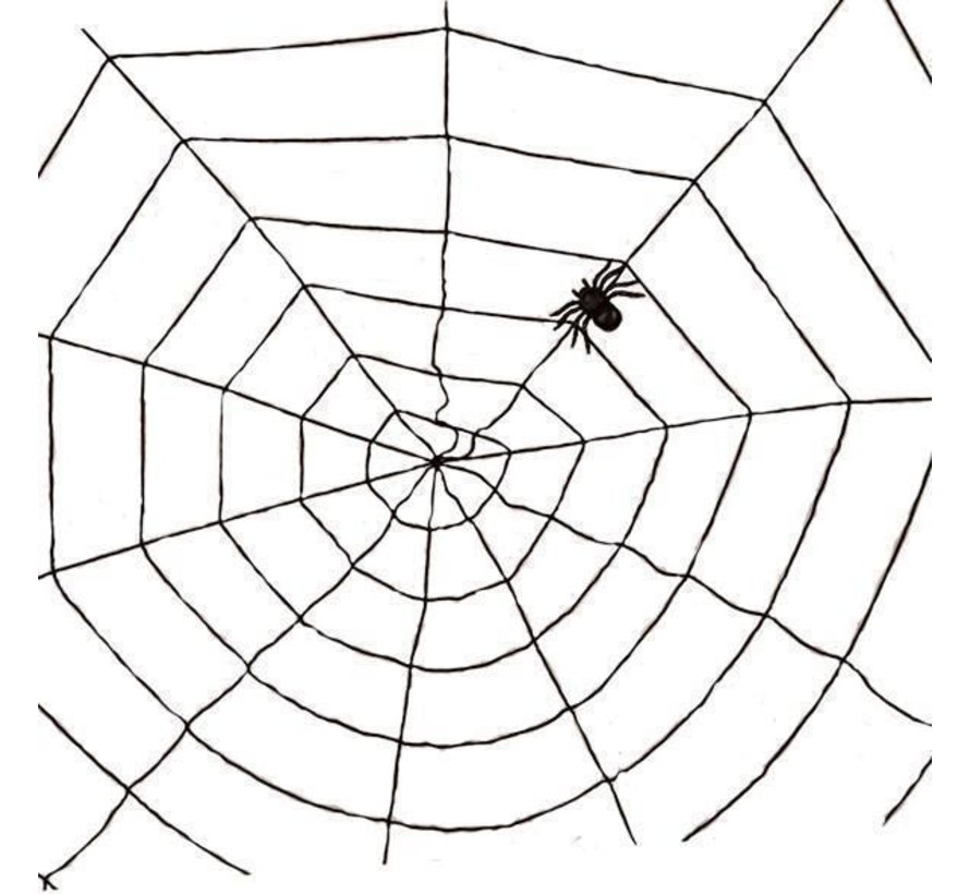 Toile d'araignée noire 1,5m | Déco Halloween