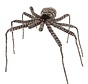 Spider Grey 90cm | Halloween Spider