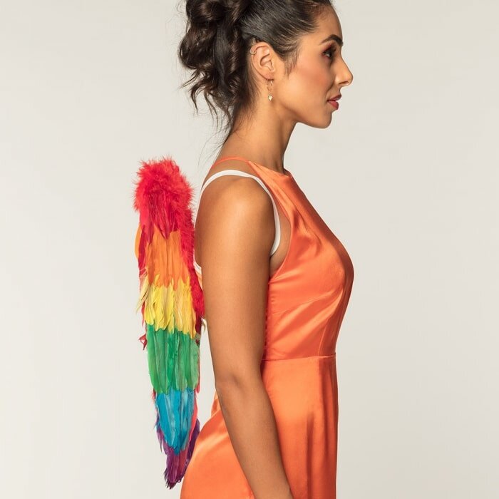 Boland Rainbow wings - Angel wings in the rainbow colour 50cm