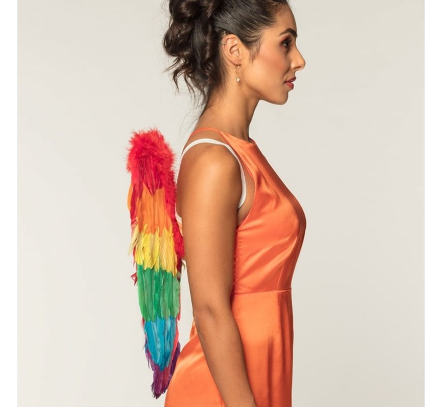 Rainbow wings - Angel wings in the rainbow colour 50cm