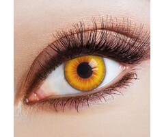 Aricona Sun Salutation Vampire color lenses