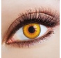 Lentilles de couleur Sun Salutation Vampire - lentilles annuelles souples