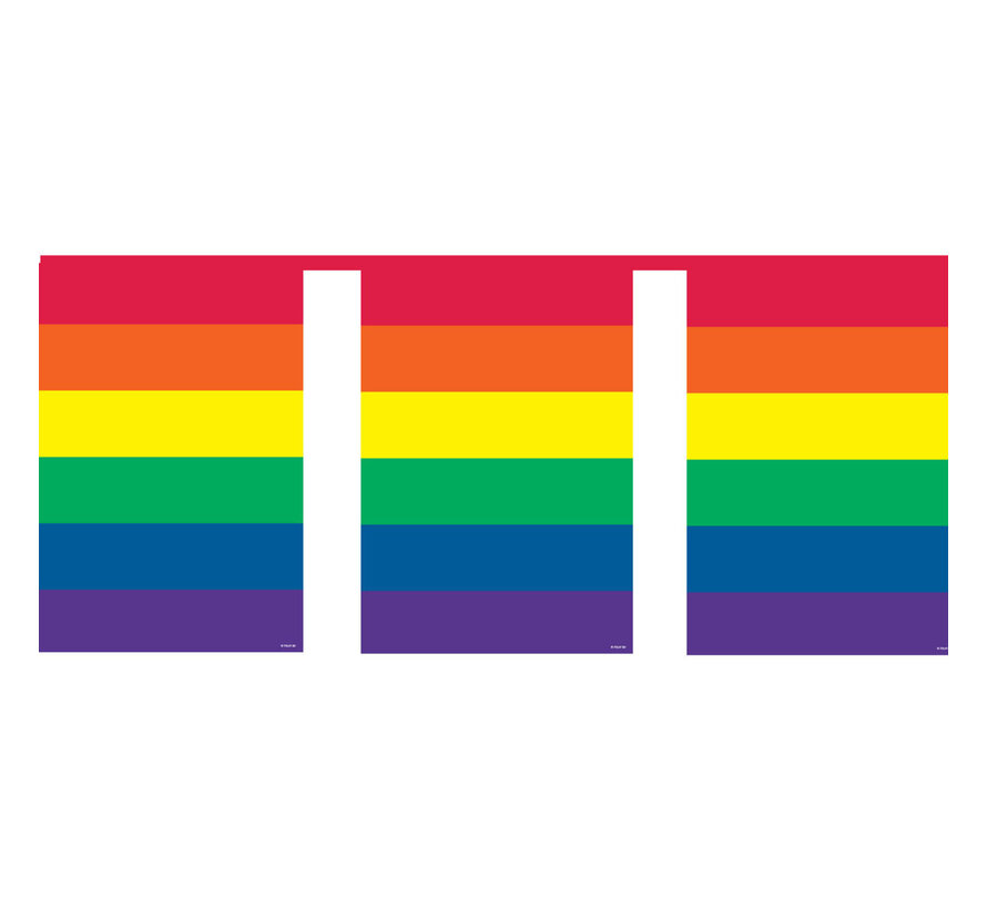 Flag line Rainbow  - 10 meters