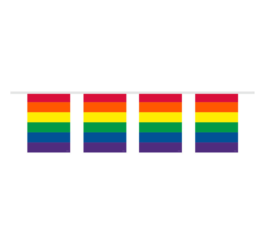 Flag line Rainbow  - 10 meters