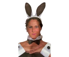 Partyline Konijnen set