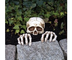 Fun World Skeleton peeper