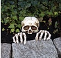 Skelet gluurder - Halloween decoratie skelet met handen