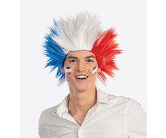 Partyline Pruik Electric Shock Nederland